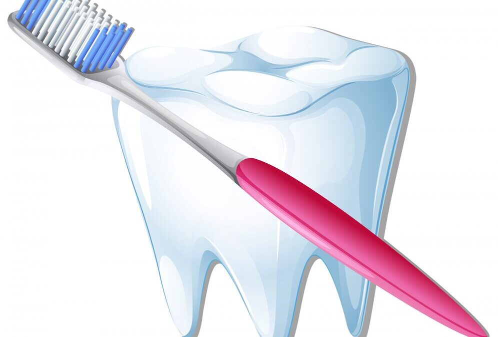 Types of Toothbrush Bristles: Why Choosing the Right Type of Toothbrush Matters